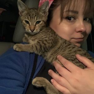 Meet your Posher, Miriam